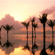 Toàn cảnh - Vedana Lagoon Resort and Spa