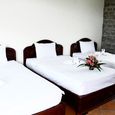 Trip - Apricot Resort