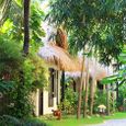 Tổng quan - Bamboo Village Resort