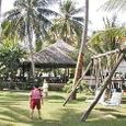 Vườn - Canary Resort