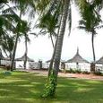 Vườn - Canary Resort