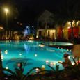Hồ bơi - Canary Resort
