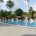 Tổng quan - Hải Âu Resort
