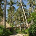 Tổng quan - Lucy Resort