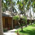 Tổng quan - Lucy Resort