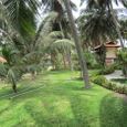 Tổng quan - Sunshine Beach Resort