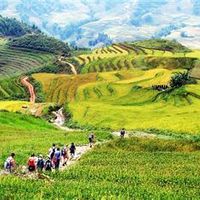 Tổng quan - Khách sạn Fansipan View