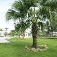 Tổng quan - Khách sạn Suối Mơ Hạ Long