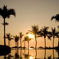 Tổng quan - Furama Resort Đà Nẵng