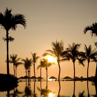 Tổng quan - Furama Resort Đà Nẵng