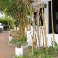 Khách sạn Ancient House