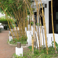 Khách sạn Ancient House