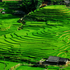 Ruộng bậc thang Hoàng Su Phì - Hà Giang được công nhận là Di tích cấp quốc gia