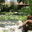 Tổng quan - Bàu Trúc Resort (Đen Giòn Resort cũ)