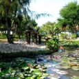 Tổng quan - Bàu Trúc Resort (Đen Giòn Resort cũ)
