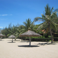 Tổng quan - Bàu Trúc Resort (Đen Giòn Resort cũ)