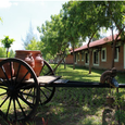 Tổng quan - Bàu Trúc Resort (Đen Giòn Resort cũ)
