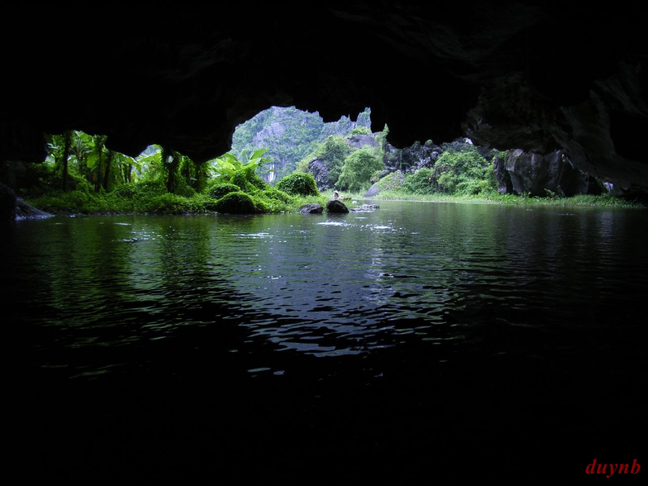 Top 5 hang động đẹp, huyền bí nhất Việt Nam 3