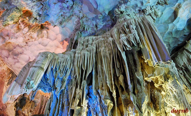 Top 5 hang động đẹp, huyền bí nhất Việt Nam 6