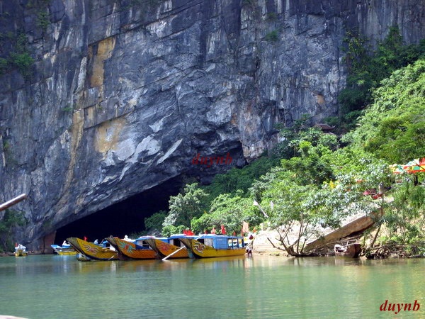 Top 5 hang động đẹp, huyền bí nhất Việt Nam 7
