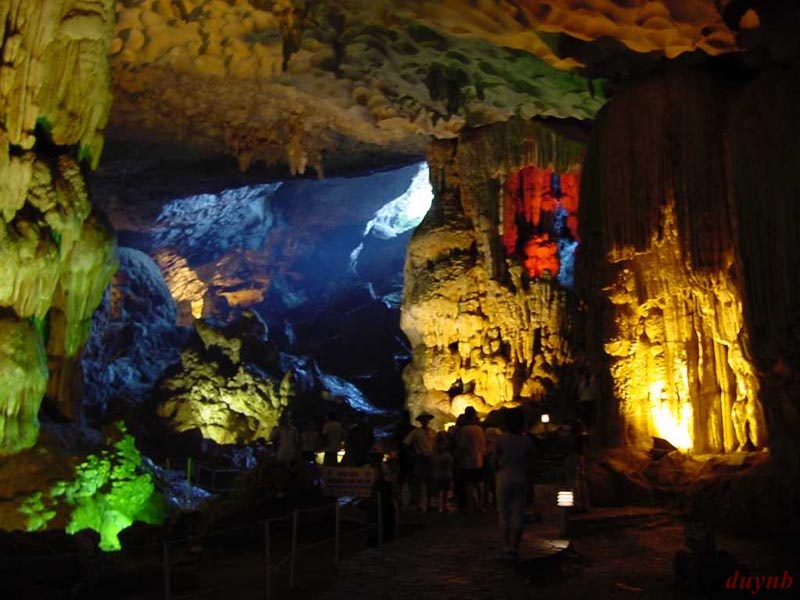 Top 5 hang động đẹp, huyền bí nhất Việt Nam 8