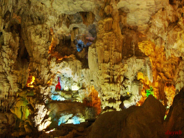 Top 5 hang động đẹp, huyền bí nhất Việt Nam 5