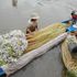 Về miền Tây mùa nước nổi