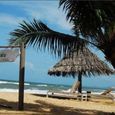 Tổng quan - Thanh Kiều Beach Resort