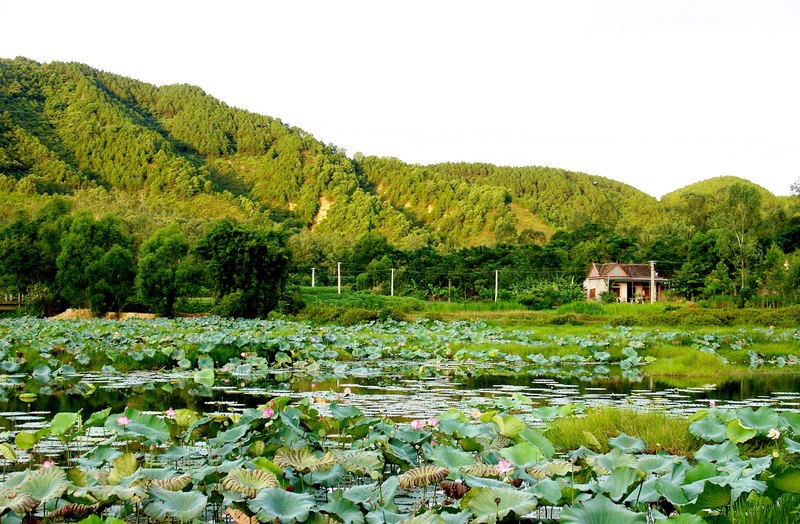 Vé máy bay từ Hồ Chí Minh đến Thành phố Sakon Nakhon