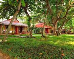 Tân Sơn Nhất Côn Đảo Resort