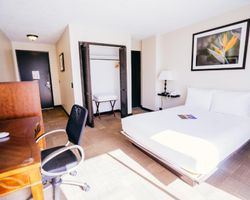 Khách Sạn Stay Waikiki Hawaii