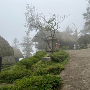 Sapa Jade Hill Resort