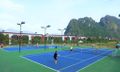 Serena Hòa Bình - Tennis
