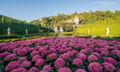 Sun World Ba Na Hills