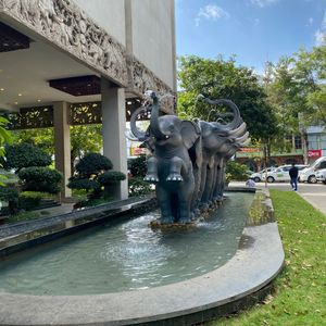 Khách sạn Elephants Buôn Ma Thuột