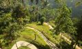 Padma Resort Ubud Bali