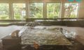 Onsen 1