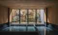 Spa and Sauna