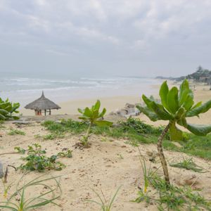 Crown Retreat Quy Nhơn Resort