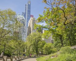 JW Marriott Essex House New York