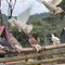 Melia Bavi Mountain Retreat