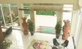 Sảnh