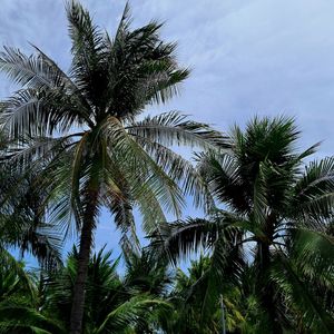 Sonata Resort & Spa Phan Thiết