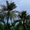 Sonata Resort & Spa Phan Thiết
