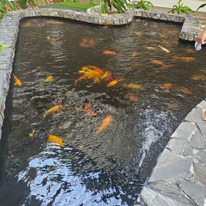 Khách sạn Sài Gòn Ninh Chữ Ninh Thuận