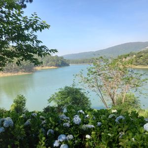 Dalat Edensee Lake Resort & Spa