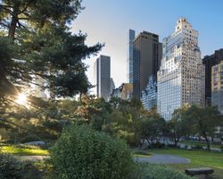 Khách sạn The Ritz-Carlton New York, Central Park