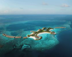Hilton Maldives Amingiri Resort & Spa