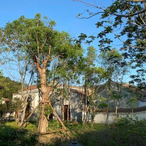 Khách sạn Làng Nương Yên Tử - Yên Tử Village