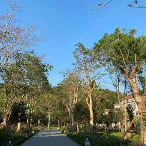 Khách sạn Làng Nương Yên Tử - Yên Tử Village